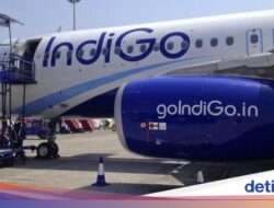 Harga Tiket Pesawat IndiGo ‘Terbang’ Sebab Kekacauan, Negeri Turun Tangan