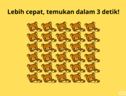 Cari Objek yang Berbeda Ke Gambar Ini, Sekilas Tampak Sama Semua