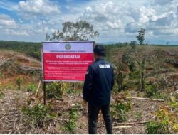 Kemenhut Identifikasi Kerusakan Lingkungan Di Hulu DAS Batang Toru dan DAS Sibuluan