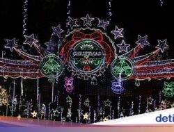 Park Street Kolkata Bersinar Sambut Natal