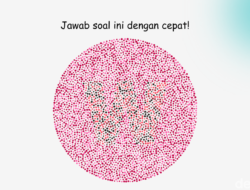 Tes Buta Warna, Bisa Lihat Huruf Hingga Gambar Ini dan Tebak Jawabannya?