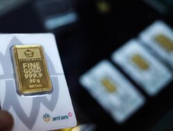 Harga Emas Antam Terkoreksi Hingga Awal 2026, Turun Rp16 Ribu Hingga 3 Januari 2026