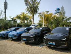 Neta Setop Rakit Kendaraan Pribadi Ke Indonesia Imbas Prinsipal Bangkrut