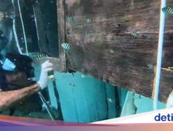 Polisi Tetapkan 2 Dugaan Pelaku Di Kapal Tenggelam Manajer Valencia