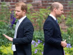 Ajakan Damai Harry Tak Digubris William, Pintu Rekonsiliasi Sudah Tertutup?