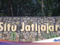 Wisata Murah Meriah Di Depok, Keliling Situ Jatijajar Naik Perahu Bebek Rp 20.000