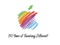 Surat Emosional Skuat Cook dan Rahasia Bertahan Ke Industri yang Kejam