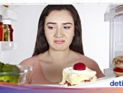 Kulkas Bisa Karena Itu Sumber Gangguan, Ini 3 Kesalahan Individu yang Harus Dihindari