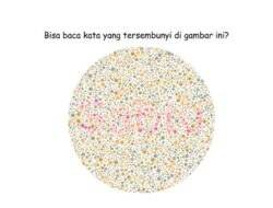 Ketajaman Mata Dibutuhkan, Selesaikan Tes Buta Warna Ini Di 30 Detik