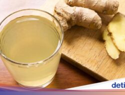 5 Teh Herbal yang Ampuh Hempas Kolesterol Usai Lebaran