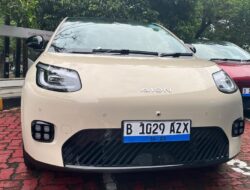 Pemerintah Batasi Penggunaan Kendaraan Pribadi Dinas kecuali Kendaraan Pribadi Elektrik