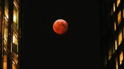 Gerhana Bulan Merah Mewarnai Langit Indonesia Malam Ini