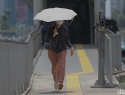 Panas Menyengat Di RI, Mungkinkah Lantaran Gelombang Panas? BMKG Bilang Gini