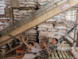 Dampak Pertempuran Iran, Harga Beras Asia Cetak Pencapaian Tertinggi Di Dua Tahun