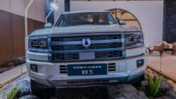 BYD Siapkan Nama Danza Gantikan Denza, Apa Artinya?