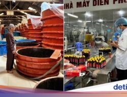 Krisis Saus Ikan! Kelangkaan Ikan Teri Ancam Warisan Masakan Tradisional