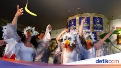 Lomba Unik Tiru Burung Camar, Unjuk Rasa Peserta Bikin Heboh