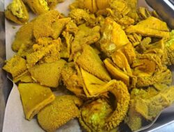 Ingin Menikmati Jeroan, Tapi Takut Asam Urat? Ini Saran Praktisi Medis Gangguan Di