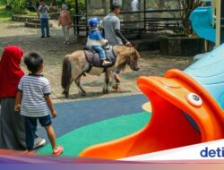 Ada Mini Zoo dan Kebun Hidroponik, Kafe Asri Ini Karena Itu Kandidatteratas Warga Bekasi