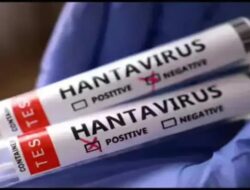 Ahli Epidemiologi Sebut Lingkungan Terbuka Lebih Aman Di Penularan Hantavirus