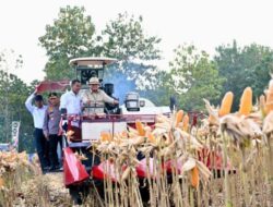 Momen Prabowo Panen Raya Jagung Ke Tuban, Naiki Alat Berat hingga Pakai Penutupkepala Koboi