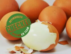 Makan Telur Rebus Tiap Hari? 5 Hal Ini Bisa Terjadi Ke Tubuh