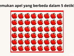 Uji Kejelian mata, Temukan Objek yang Berbeda Di 8 Permainan Gambar Ini