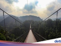 Sensasi Menyusuri Jembatan Terpanjang Hingga Asia Tenggara Hingga Di Hutan Sukabumi