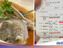 Kacau! Turis Ditagih Rp4 Juta usai Makan Ikan Patin, Ternyata Begini Faktanya