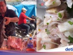 Bikin Bergidik! Ke Amazon Ada ‘Sashimi’ Daging Buaya Segar