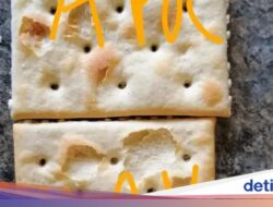9 Potret ‘Shrinkflation’ Dari Sebab Itu Bukti Fluktuasi Harga Di Konsumsi Kemasan
