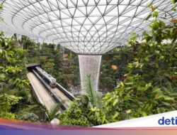 Efek Domino Konflik Timur Di, Bandara Changi Catat Penurunan Penumpang