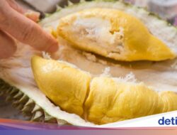 Nangis Ke Bandara, Wanita Ini Gagal Bawa Durian Musang King Hingga Arab Saudi