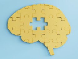 Terobosan Terbaru! Ilmuwan Temukan Cara Bantu Penyembuhan Otak usai Stroke