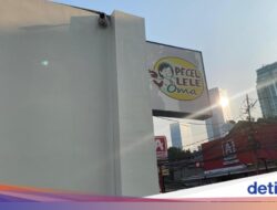 Kalap Makan Ke Pecel Lele Modern, Cicip Ayam Goreng hingga Sate Jumbo
