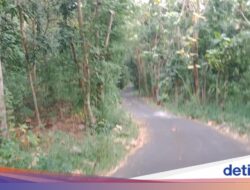 Kesaksian Warga Kampung Mati Ke Sleman, Kini Seperti Hutan Angker