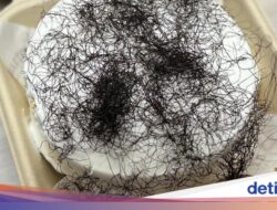 Disorot Mirip Rambut Kemaluan, Ini 5 Fakta Fat Coy yang Lagi Viral!