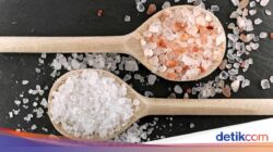 Tak Cuma Asin, 5 Jenis Garam Ini Punya Manfaat Berbeda Bagi Masakan