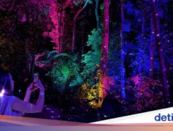 Foto-foto Estetik Wisata Malam Di Hutan Langkawi