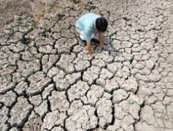 El Nino Super Kembali Sesudah 11 Tahun, Kekeringan Hebat Akansegera Mengamuk Asosiasinegara-Negaraasiatenggara