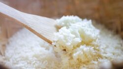 Ahli Kesejajaran Kardiovaskular RI Kaget Warga Jepang Makan Banyak Nasi Tapi Nggak Obesitas