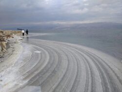 Laut Mati Mengering dan Suhu Airnya Terdeteksi Naik hingga 8 Derajat Celcius